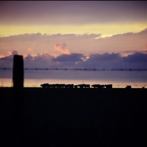 Meet your Posher, Chan